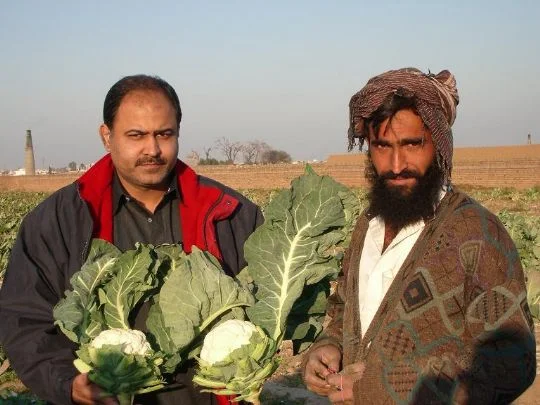 Imtaiz Hussain