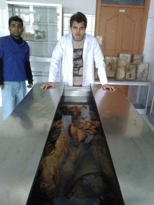 Zahid Ali